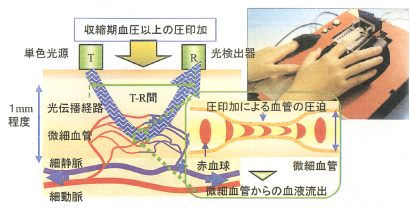 超高感度がんセンサーの仕組み